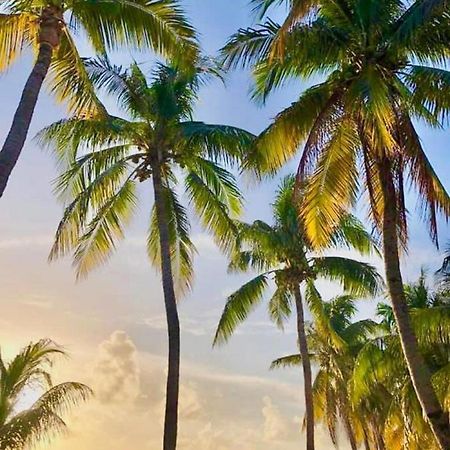 Vc Beach Suites 女人岛 外观 照片